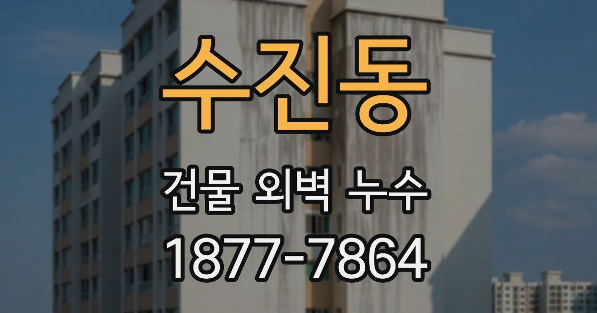 수진동 건물 외벽 누수