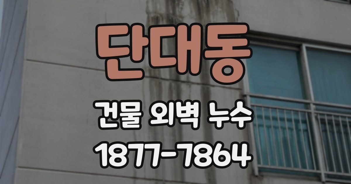 단대동 건물 외벽 누수