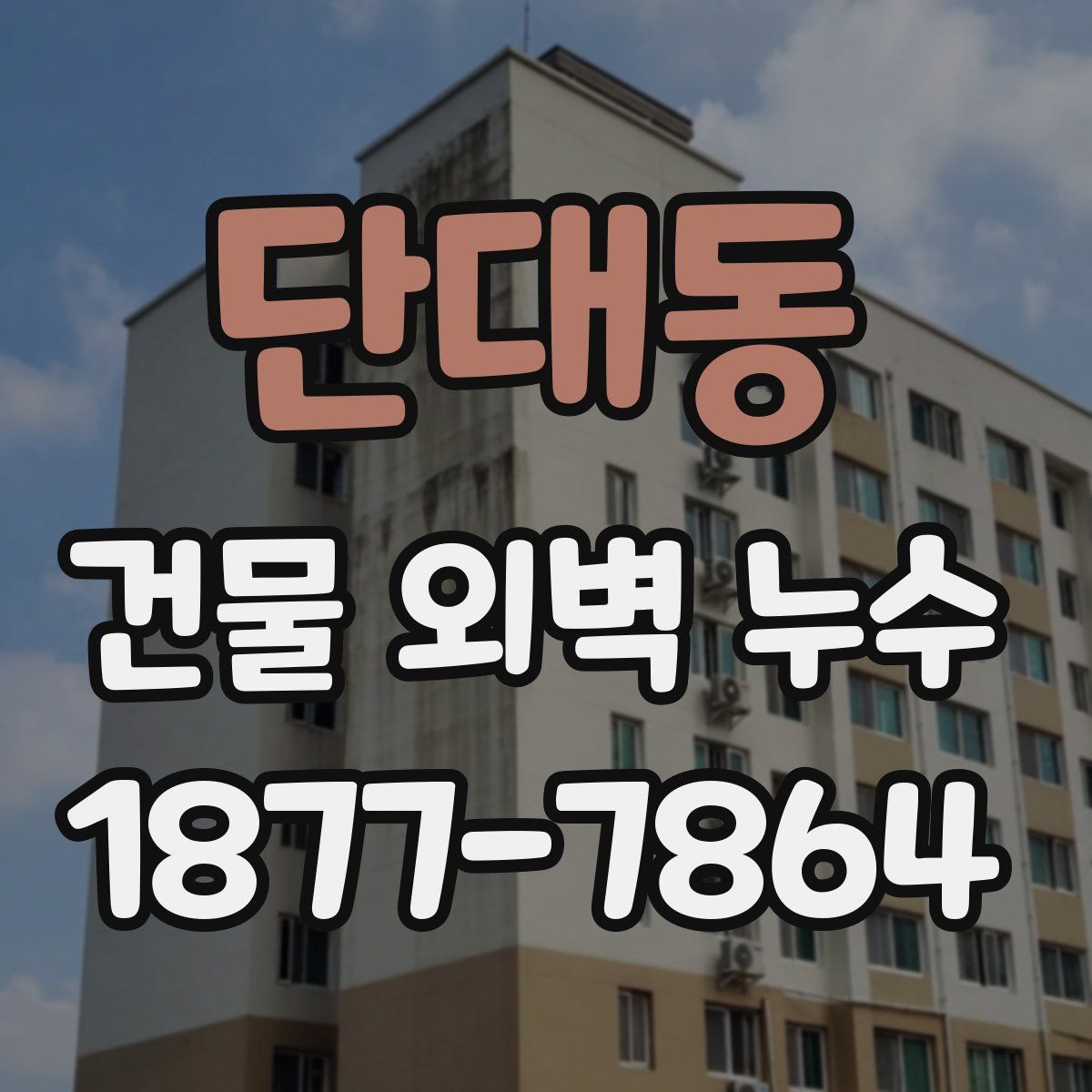 단대동 건물 외벽 누수