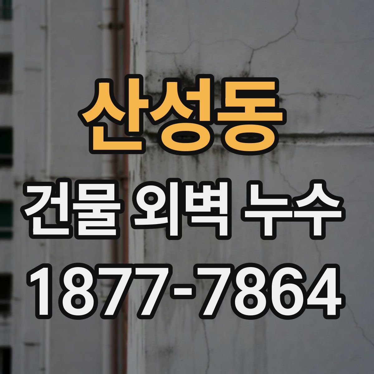 산성동 건물 외벽 누수