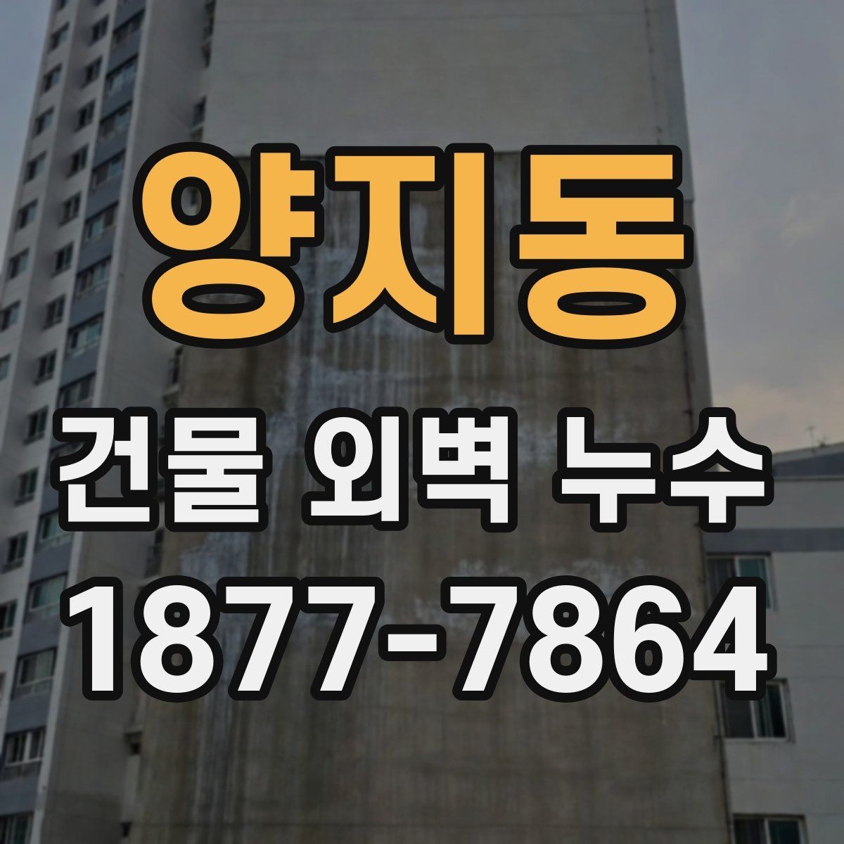 양지동 건물 외벽 누수 공사 업체 상담 전 체크사항