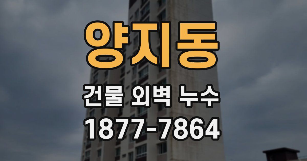 양지동 건물 외벽 누수