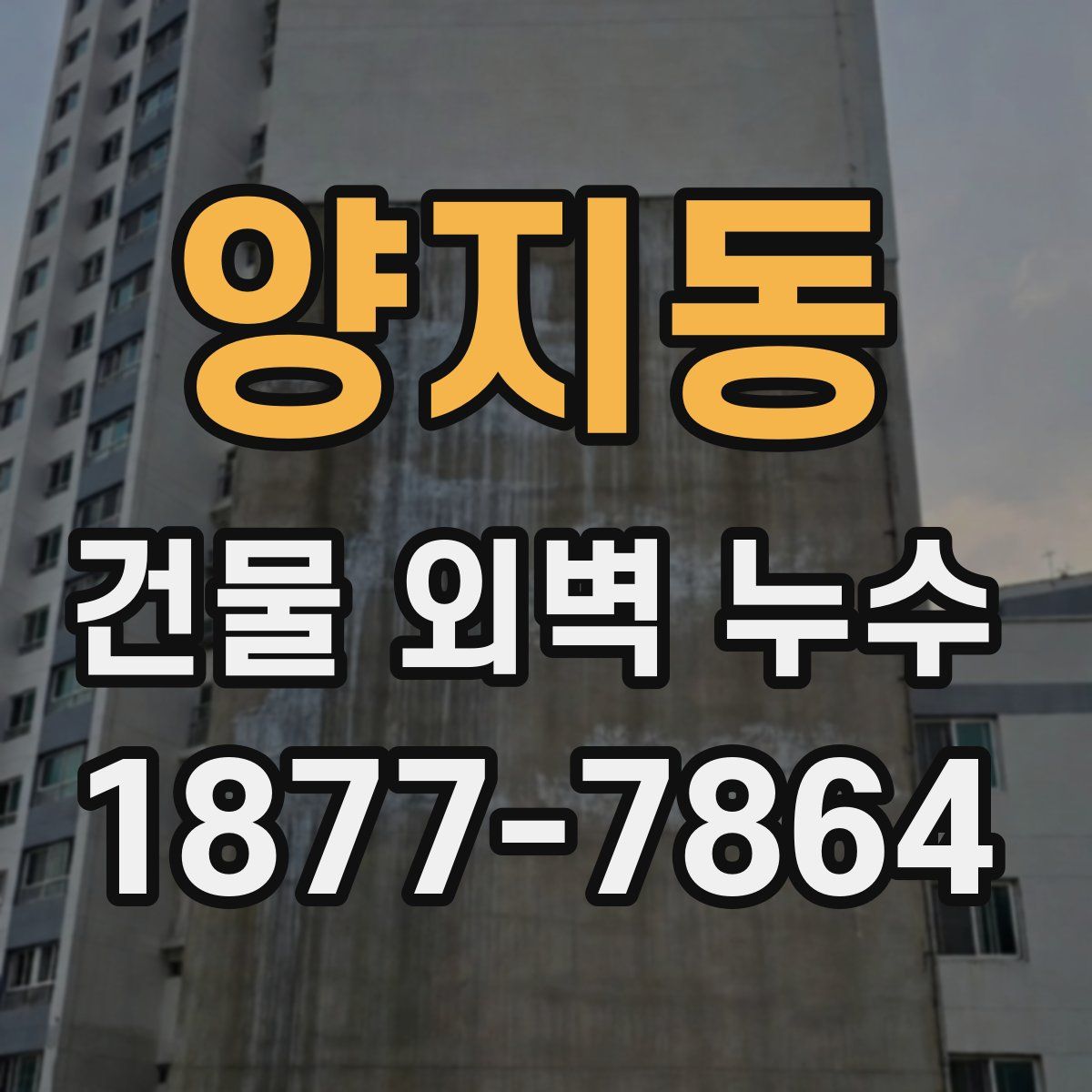 양지동 건물 외벽 누수