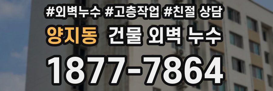 양지동 건물 외벽 누수