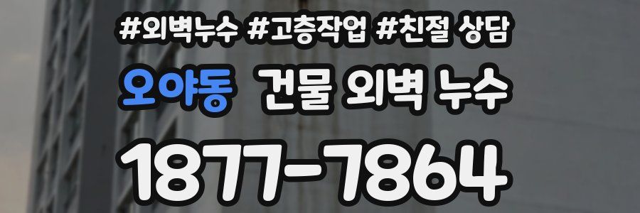 오야동 건물 외벽 누수