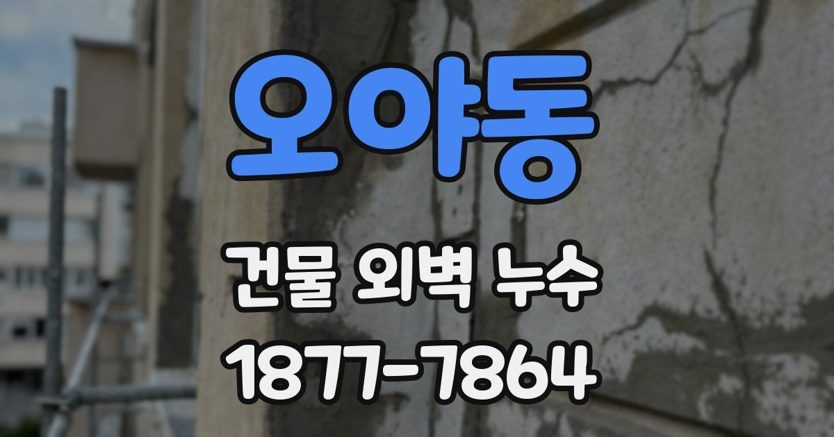 오야동 건물 외벽 누수