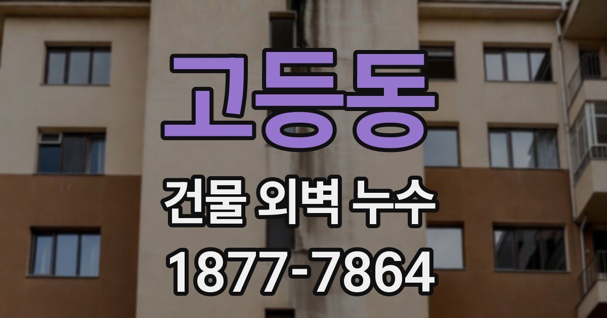 고등동 건물 외벽 누수