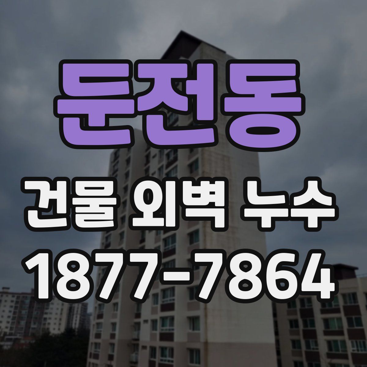 둔전동 건물 외벽 누수