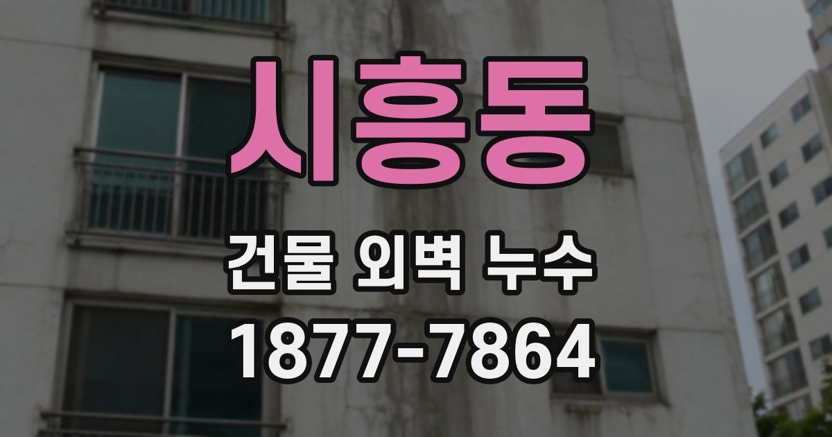 시흥동 건물 외벽 누수