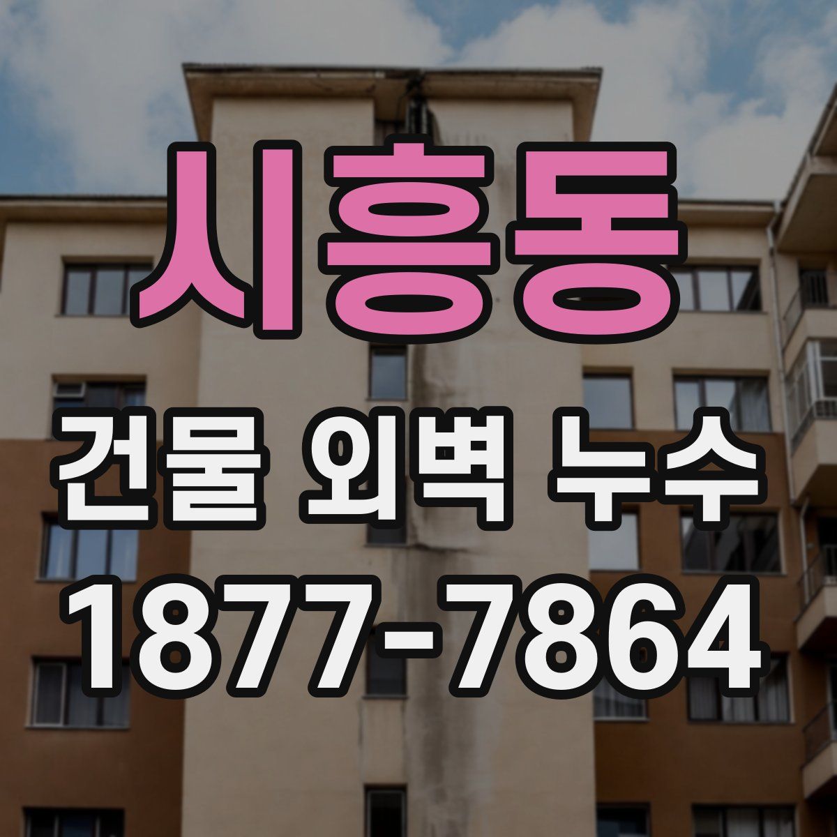 시흥동 건물 외벽 누수