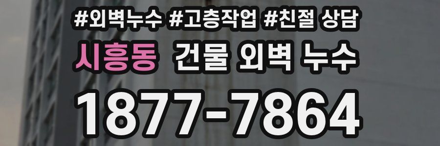 시흥동 건물 외벽 누수