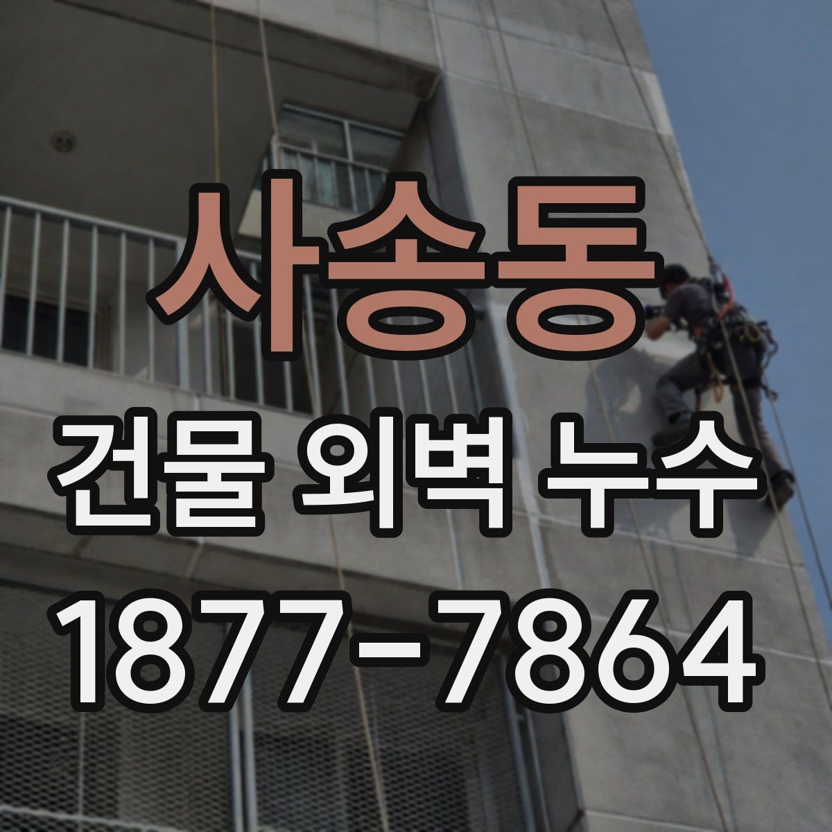 사송동 건물 외벽 누수 보수 방법 선택 가이드
