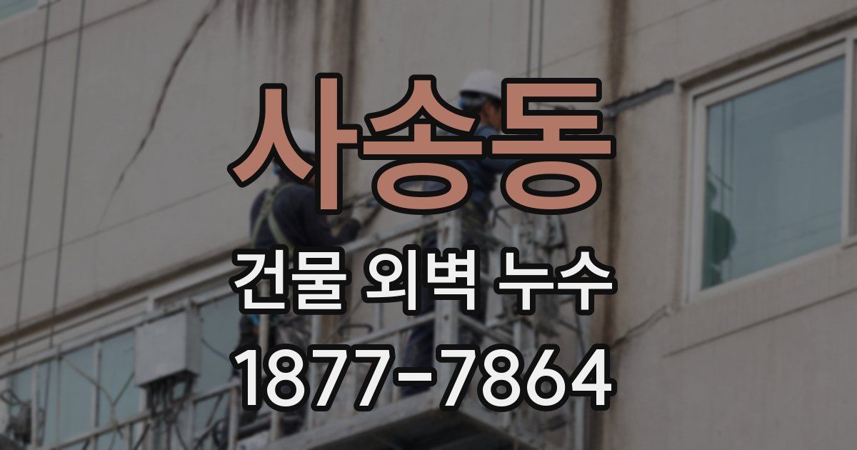 사송동 건물 외벽 누수