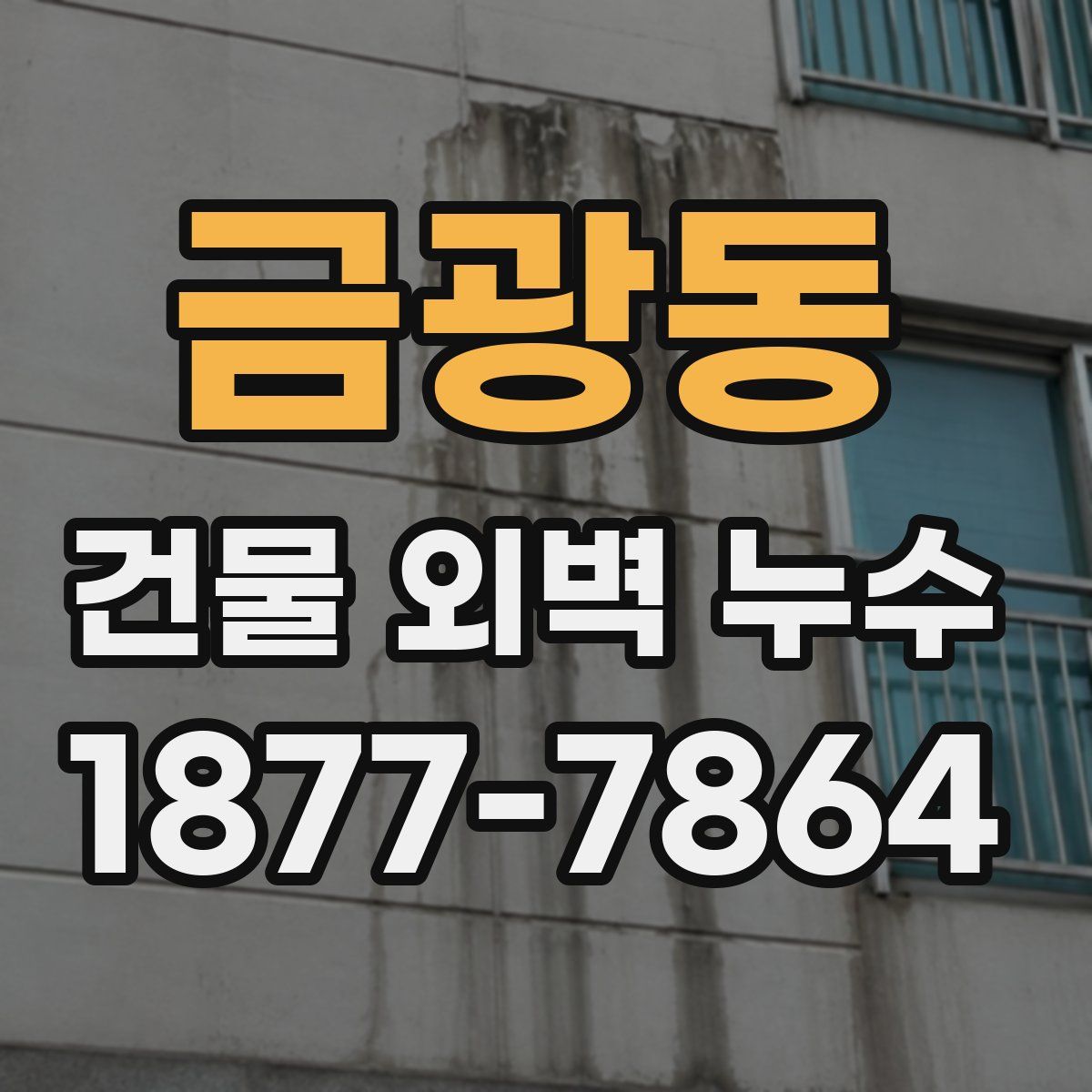금광동 건물 외벽 누수