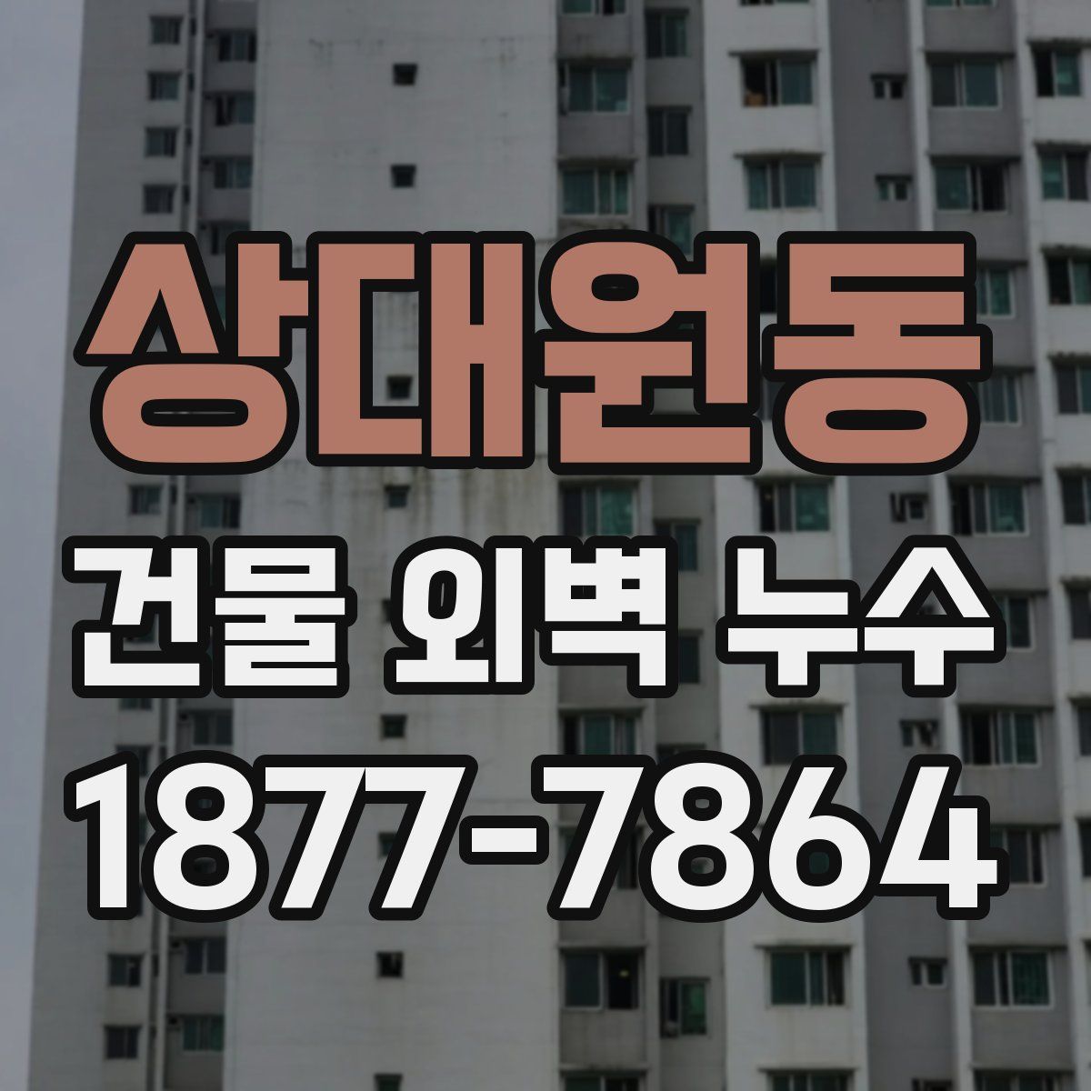 상대원동 건물 외벽 누수