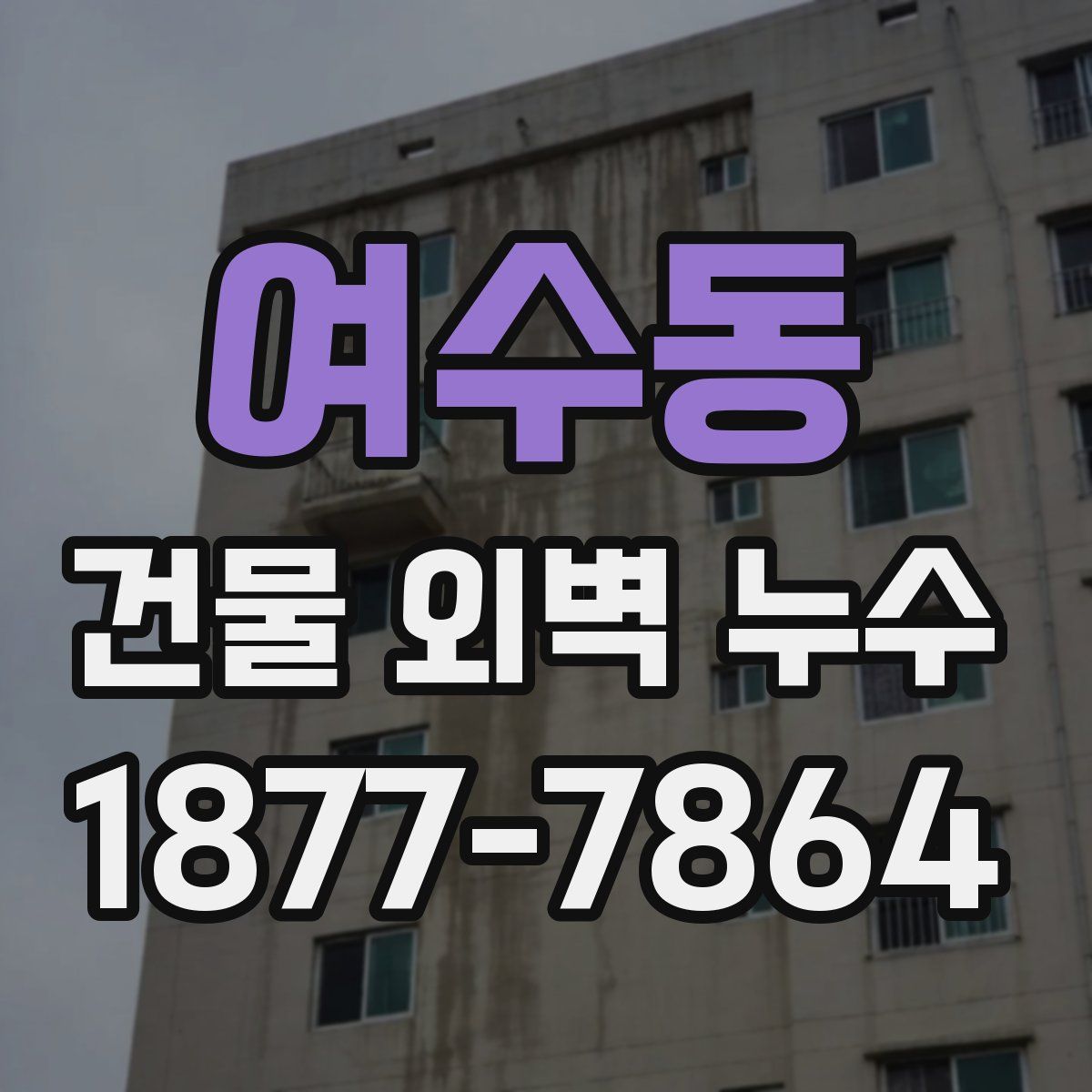 여수동 건물 외벽 누수