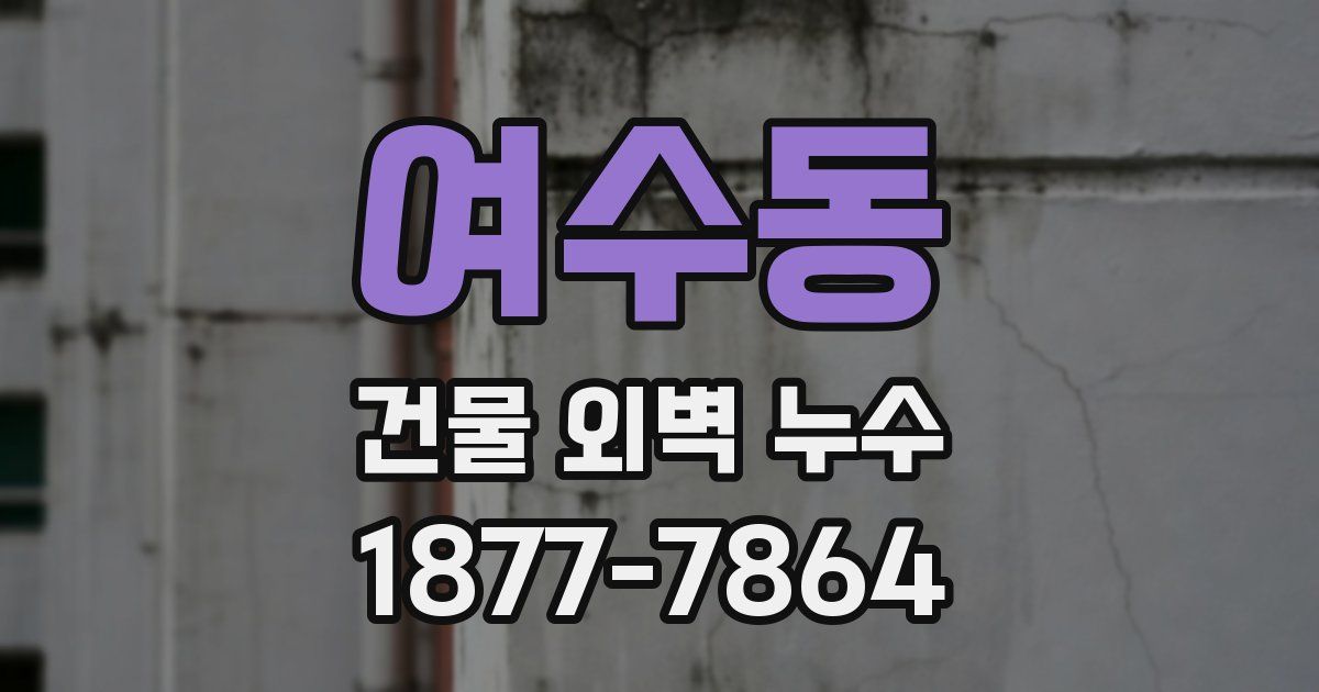 여수동 건물 외벽 누수