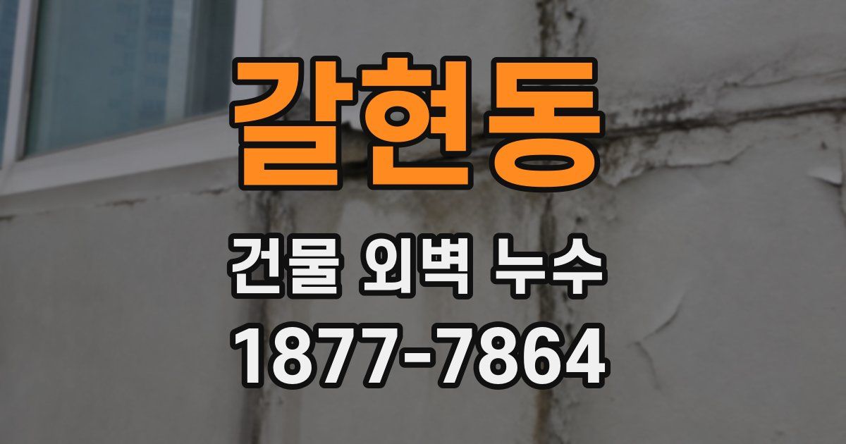 갈현동 건물 외벽 누수