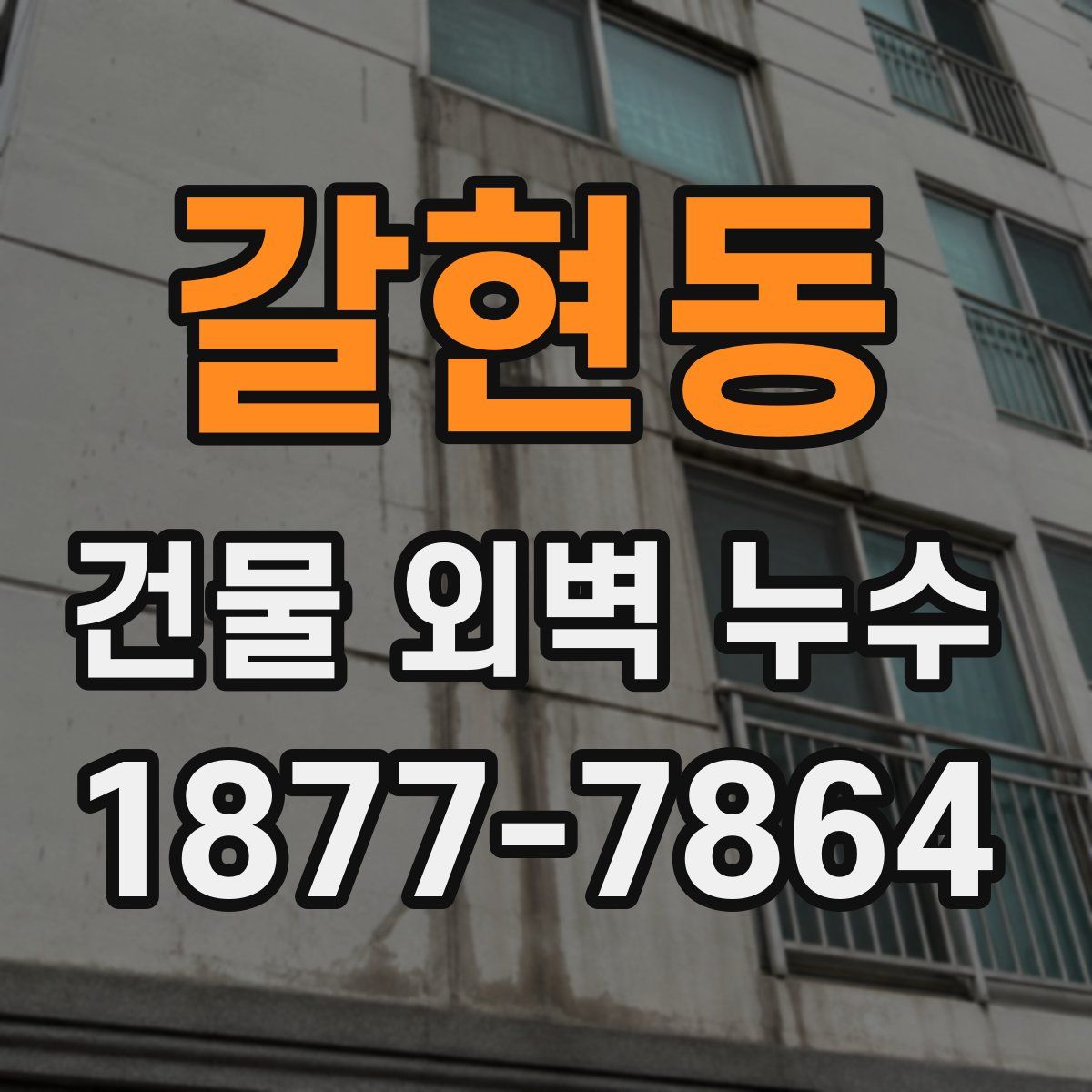 갈현동 건물 외벽 누수