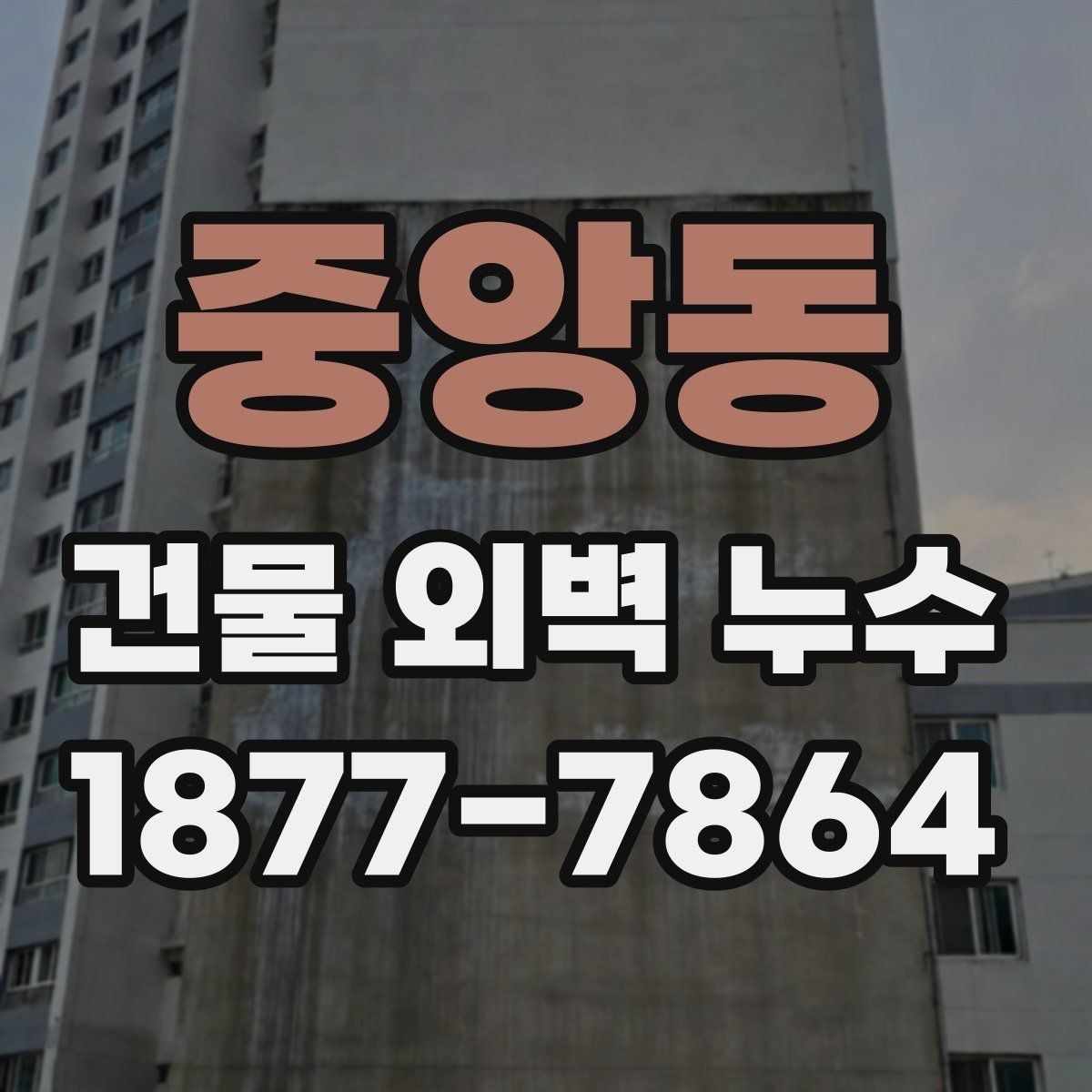 중앙동 건물 외벽 누수 발생 원인별 사례 정리