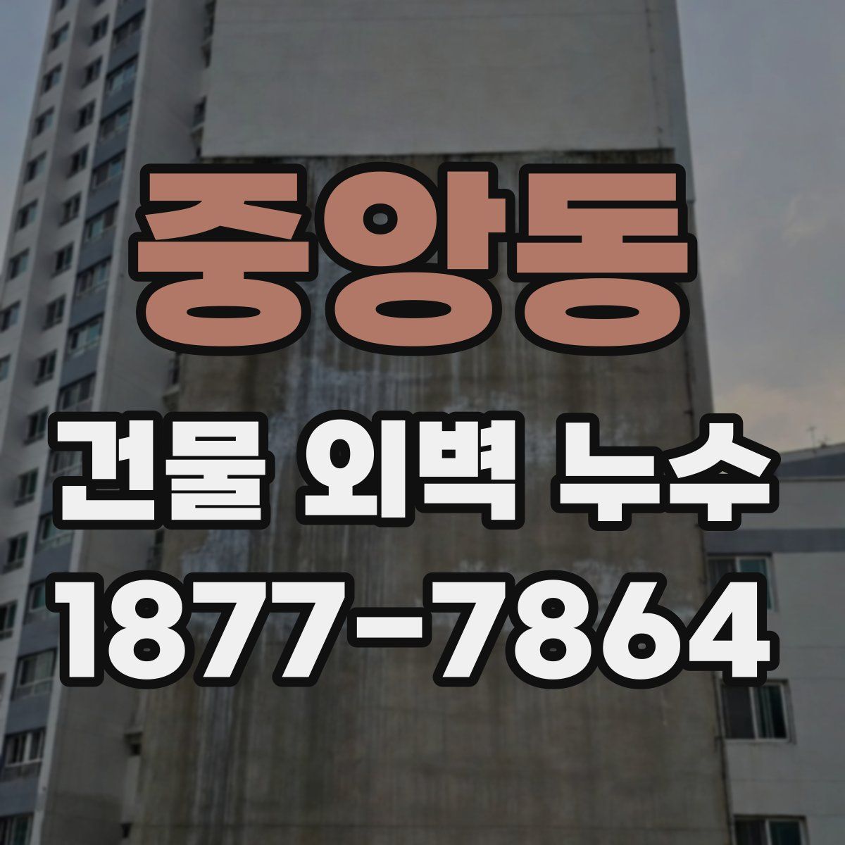 중앙동 건물 외벽 누수