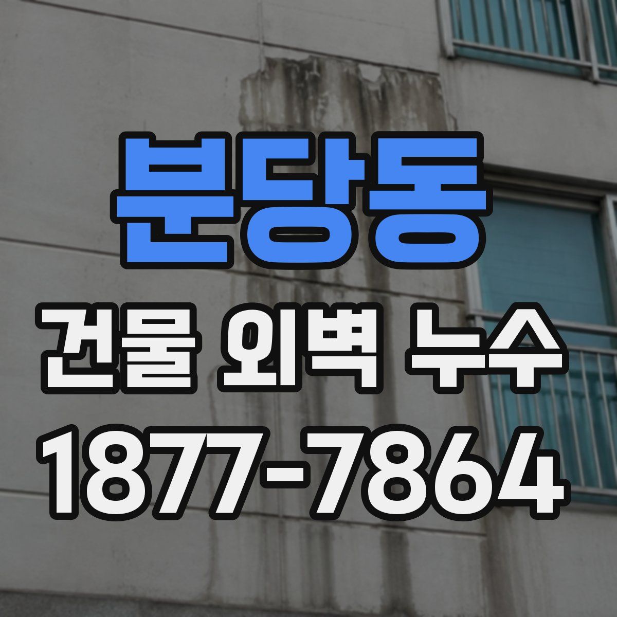 분당동 건물 외벽 누수