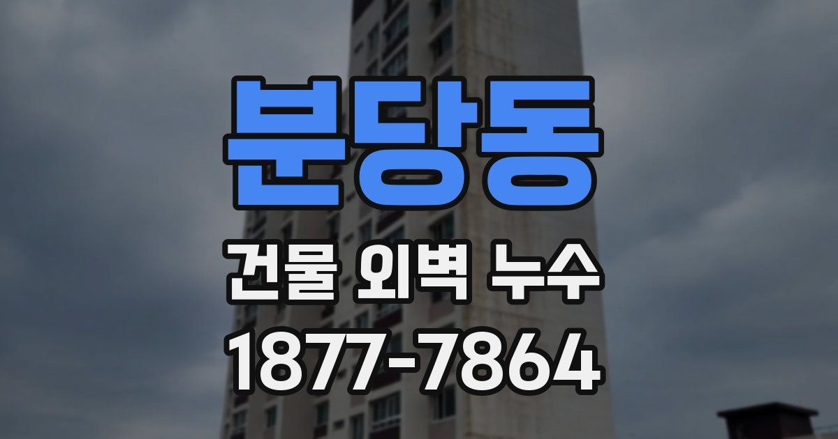분당동 건물 외벽 누수