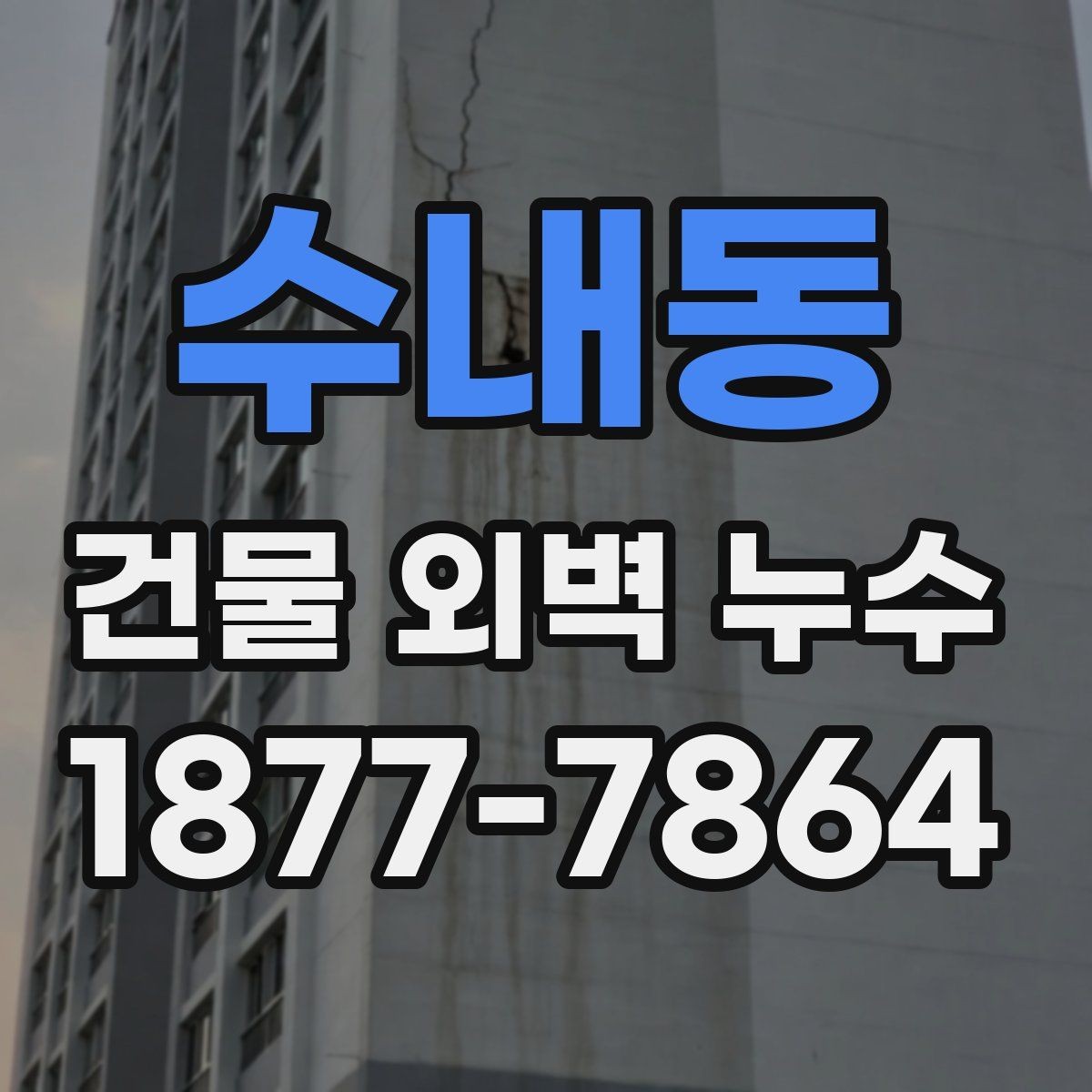 수내동 건물 외벽 누수 보수 방식 차이