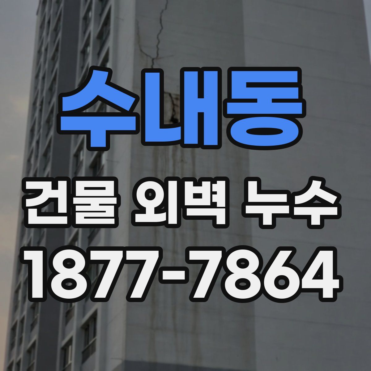 수내동 건물 외벽 누수