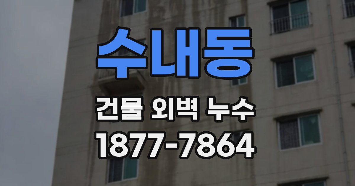 수내동 건물 외벽 누수