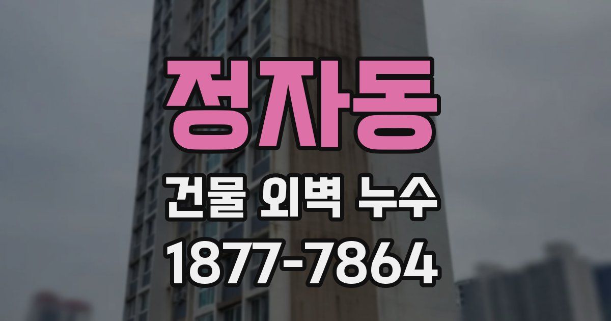 정자동 건물 외벽 누수