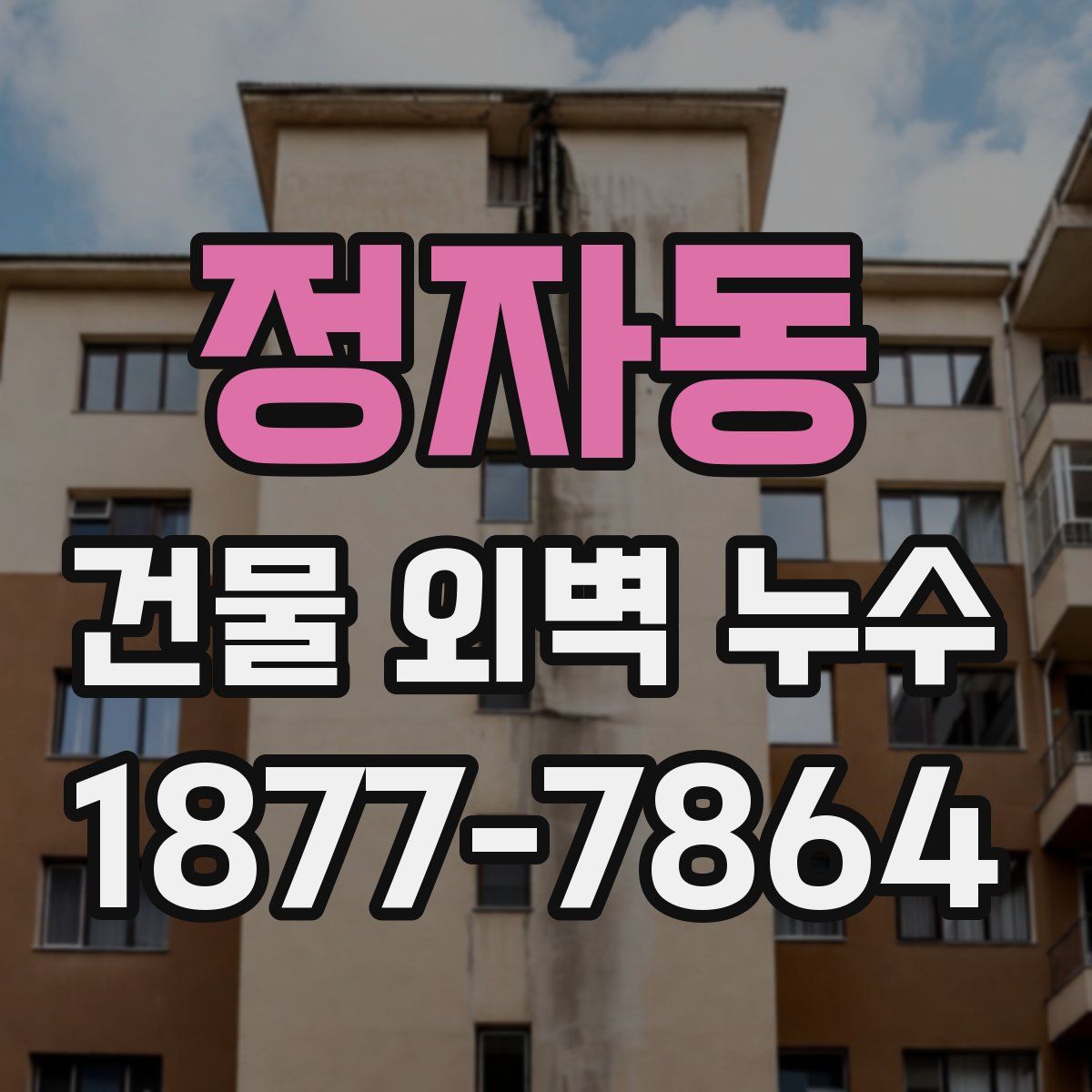 정자동 건물 외벽 누수
