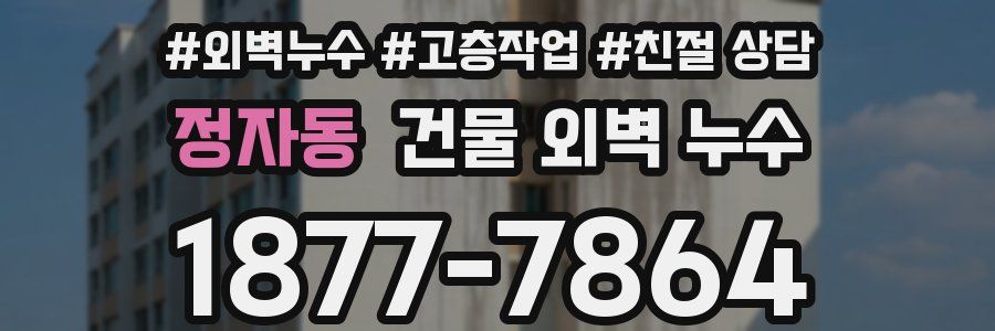 정자동 건물 외벽 누수