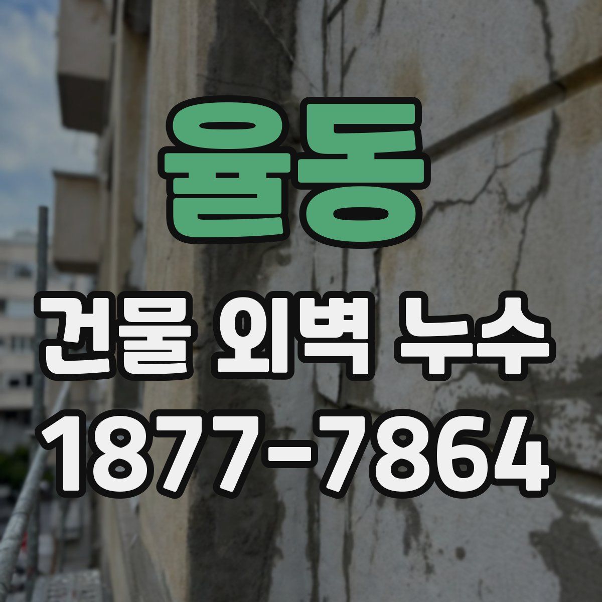 율동 건물 외벽 누수