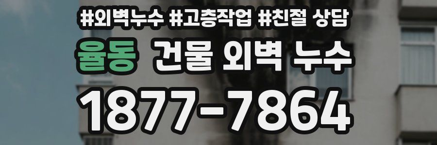 율동 건물 외벽 누수