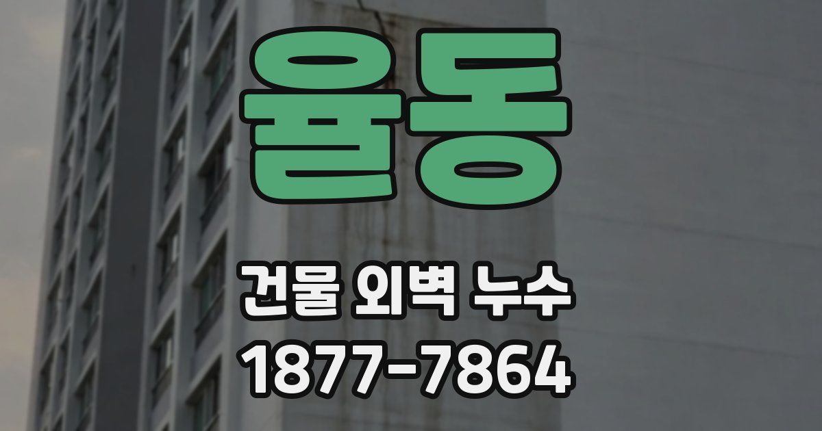 율동 건물 외벽 누수