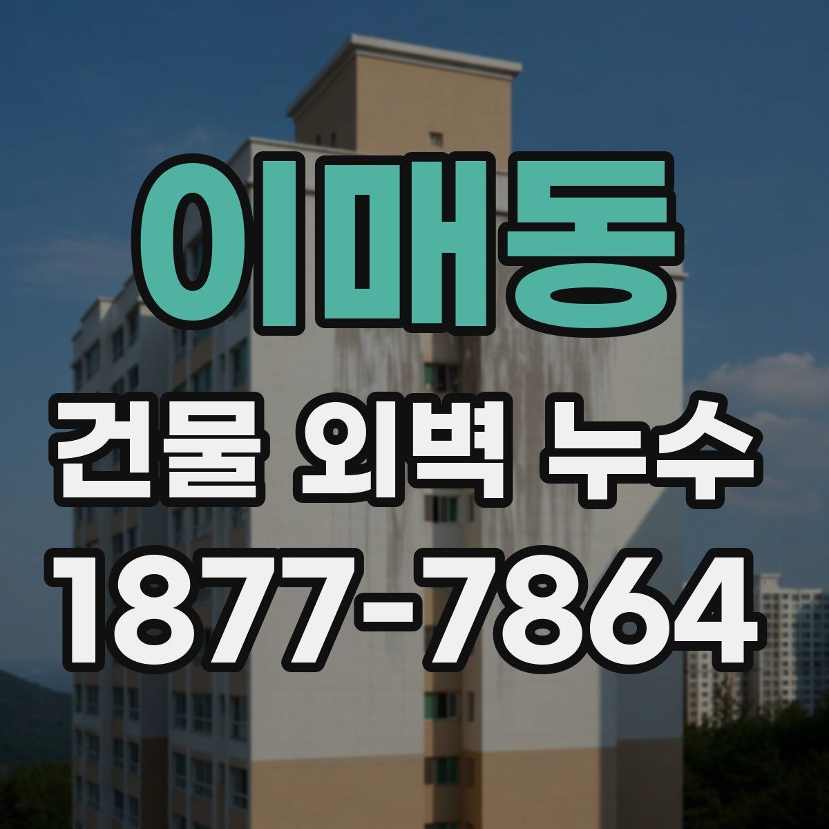 이매동 건물 외벽 누수