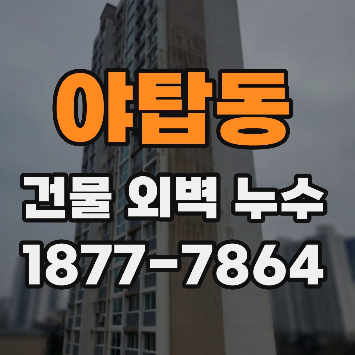 야탑동 건물 외벽 누수