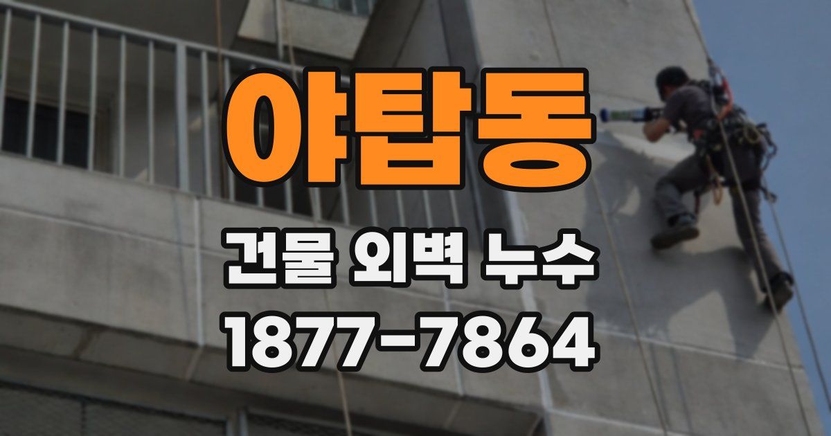 야탑동 건물 외벽 누수