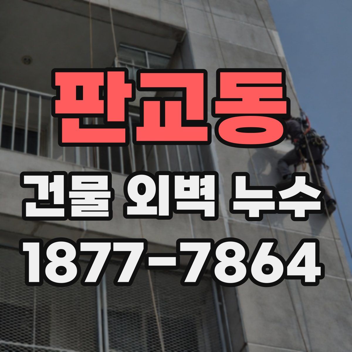 판교동 건물 외벽 누수