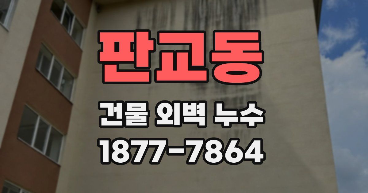 판교동 건물 외벽 누수