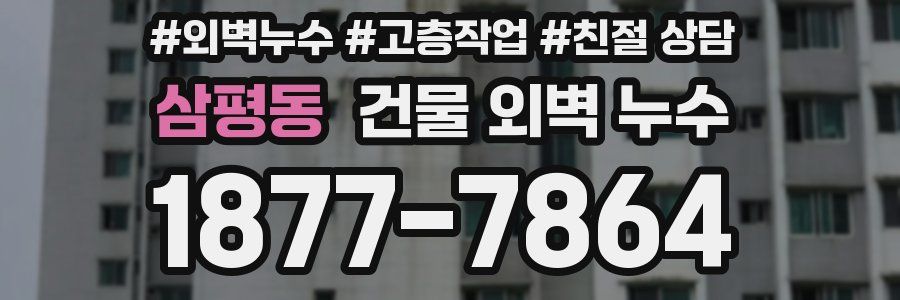 삼평동 건물 외벽 누수