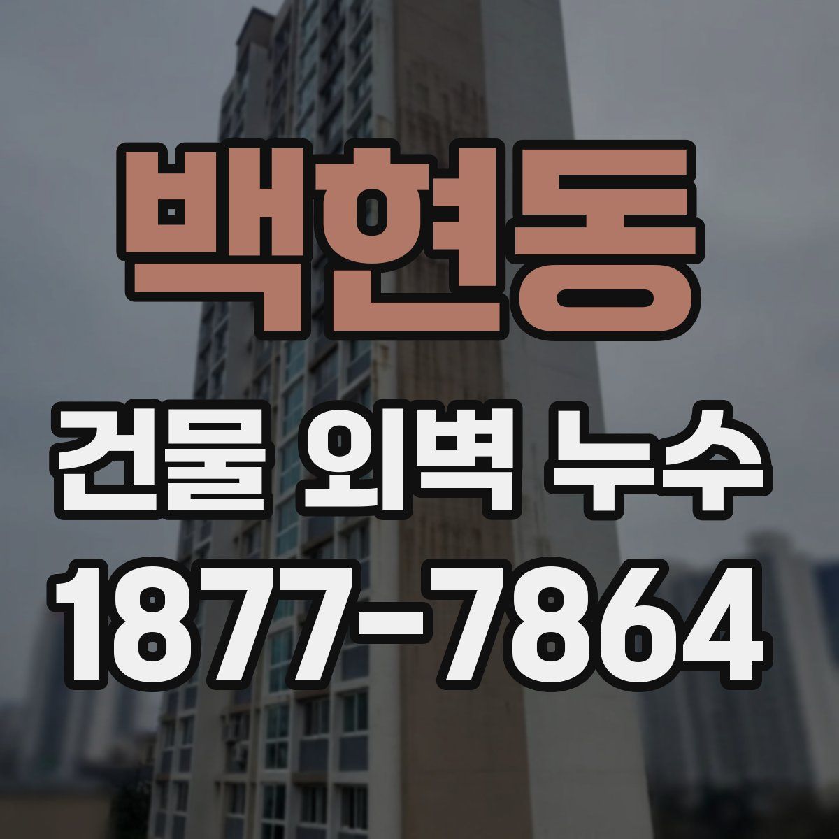 백현동 건물 외벽 누수