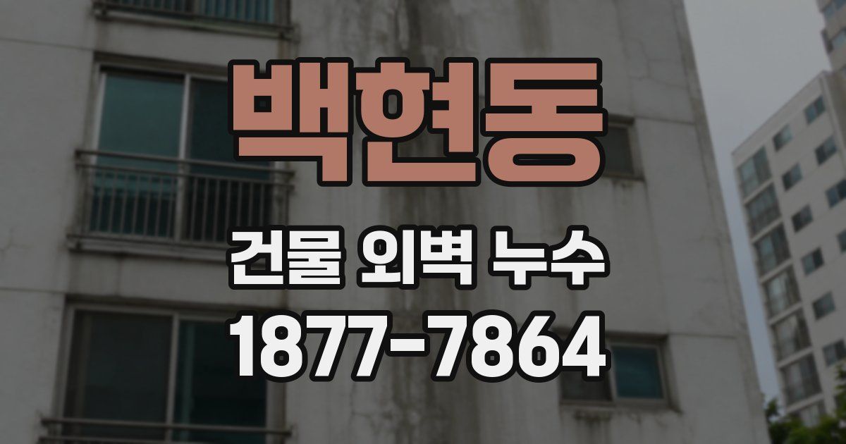 백현동 건물 외벽 누수