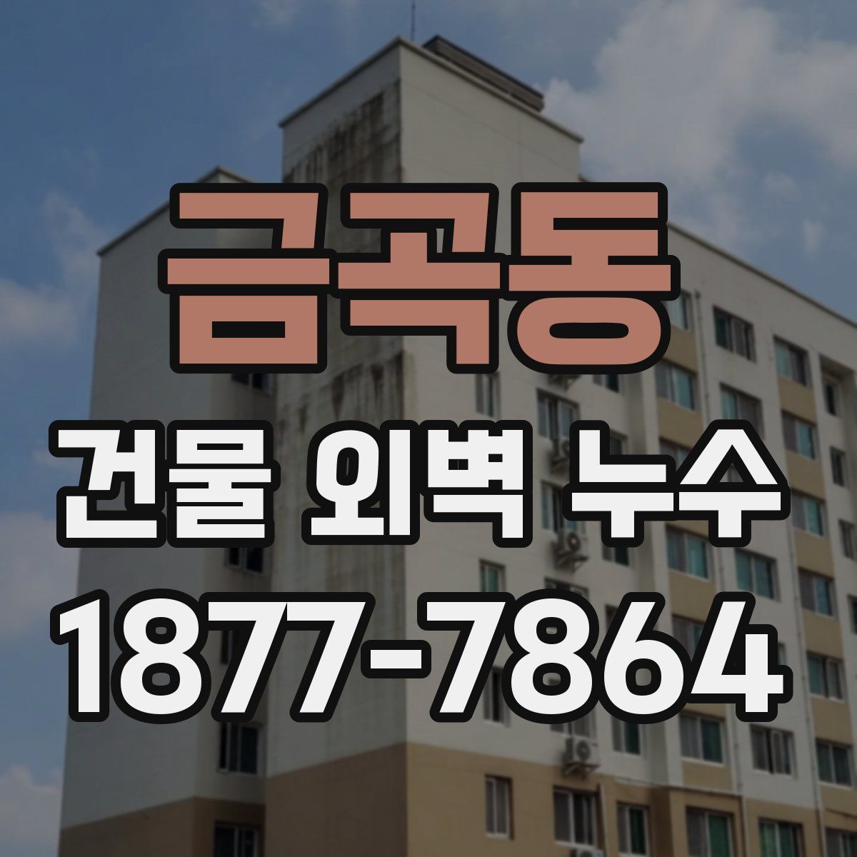 금곡동 건물 외벽 누수
