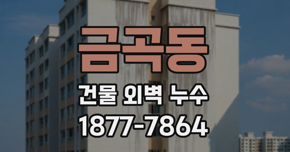 금곡동 건물 외벽 누수