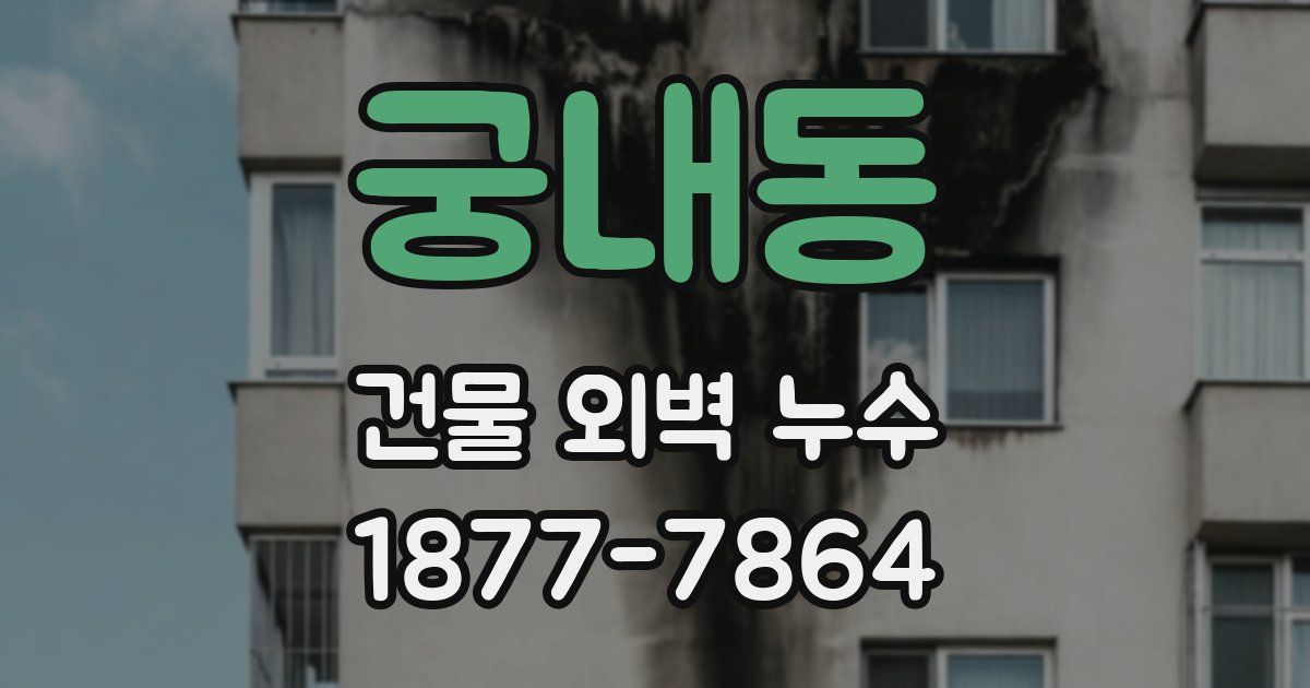 궁내동 건물 외벽 누수