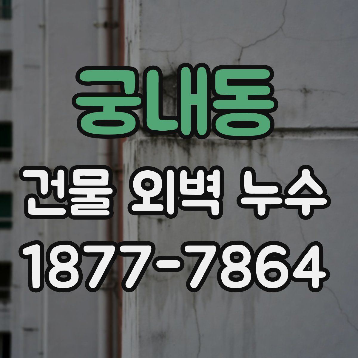 궁내동 건물 외벽 누수