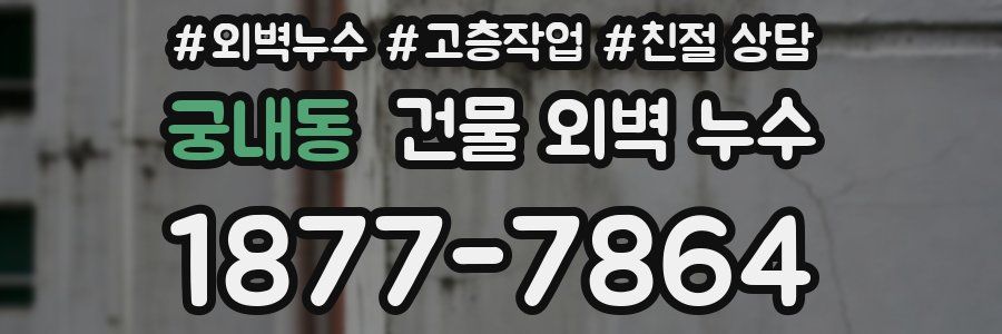 궁내동 건물 외벽 누수