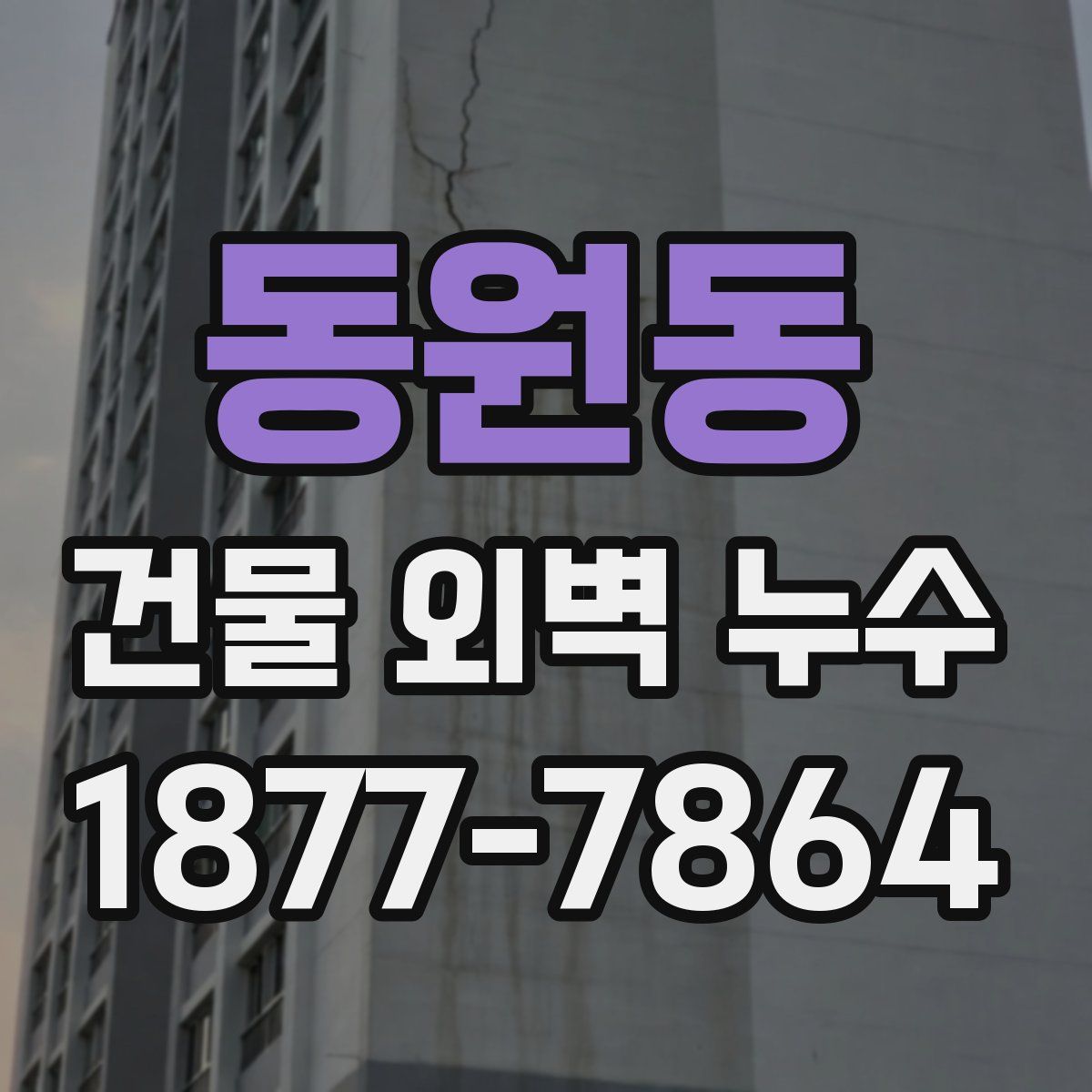 동원동 건물 외벽 누수